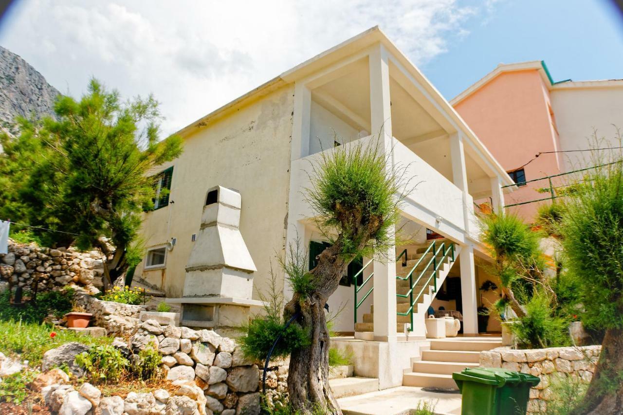 Studio Apartman Papic Drasnice Exterior photo